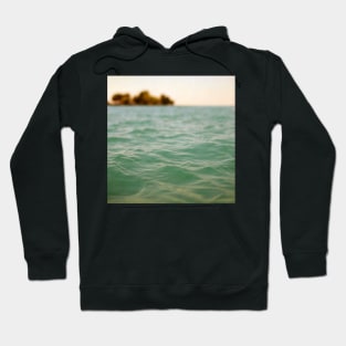 Float Hoodie